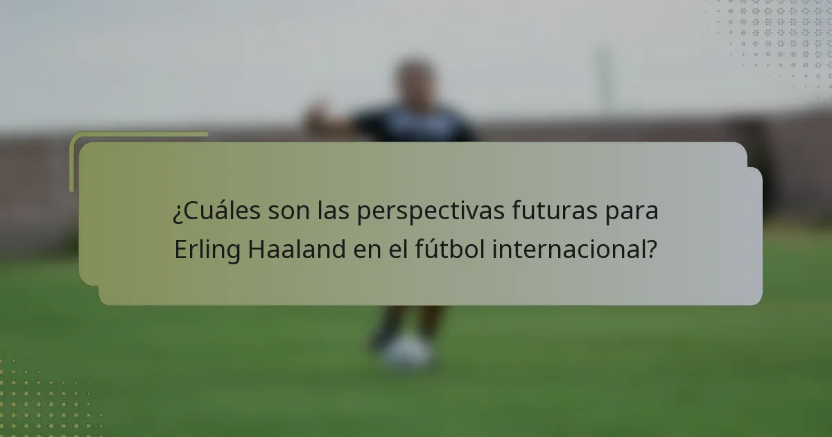 ¿Cuáles son las perspectivas futuras para Erling Haaland en el fútbol internacional?
